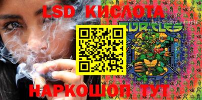 МДПВ Канаш