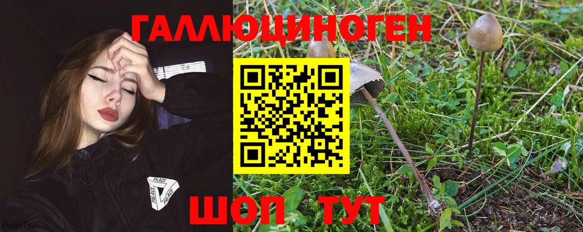 Галлюциногенные грибы GOLDEN TEACHER  Галлюциногенные грибы мухоморы  Благовещенск  Вход с VPN 