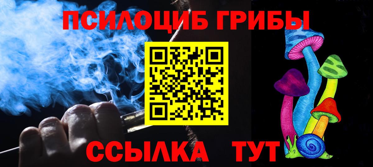 Псилоцибиновые грибы прущие грибы Благовещенск